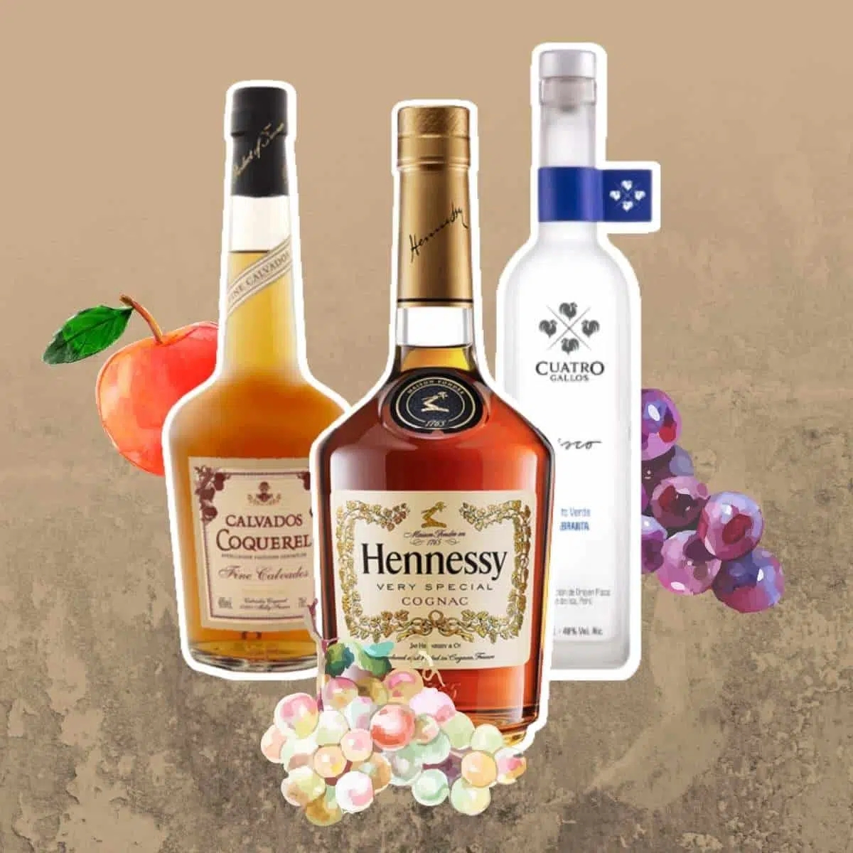 18 Types Of Brandy You Have To Try In 2024 Cocktail Society 18 Types Of Brandy You Have To Try In 2024 Cocktail Society