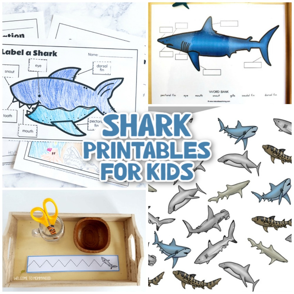 printable shark template
