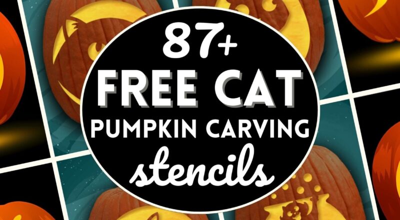 87 Free Cat Pumpkin Carving Stencils The Ultimate List