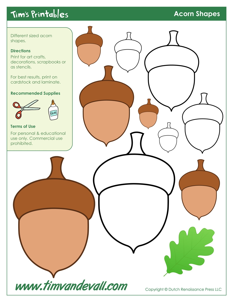 acorn printable template
