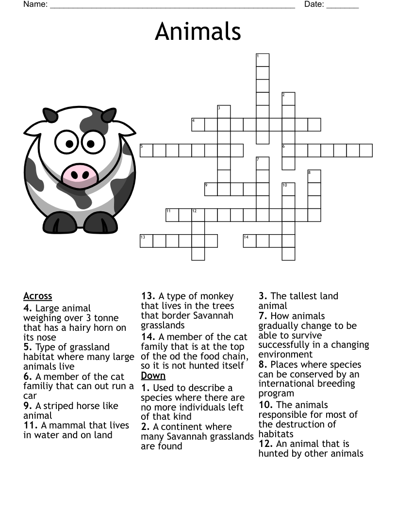 Animation Crossword WordMint