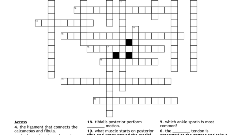 Ankle Crossword WordMint