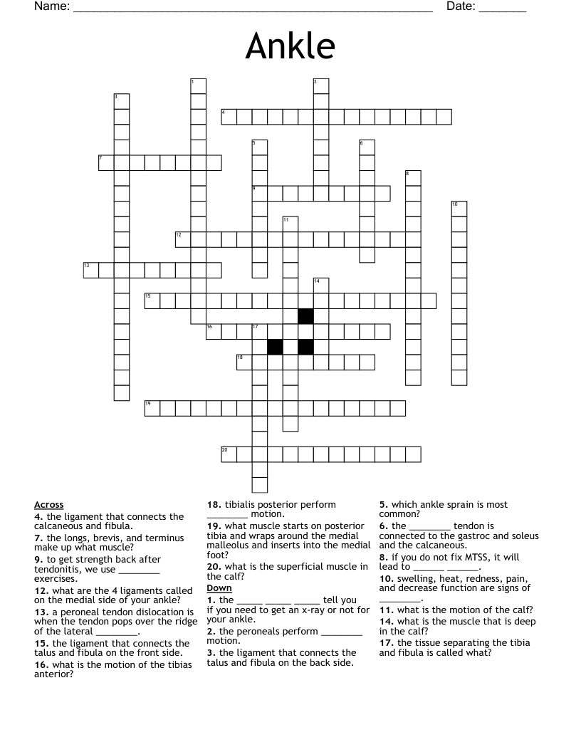 Ankle Crossword WordMint