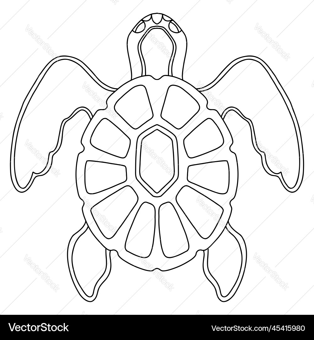 printable turtle template