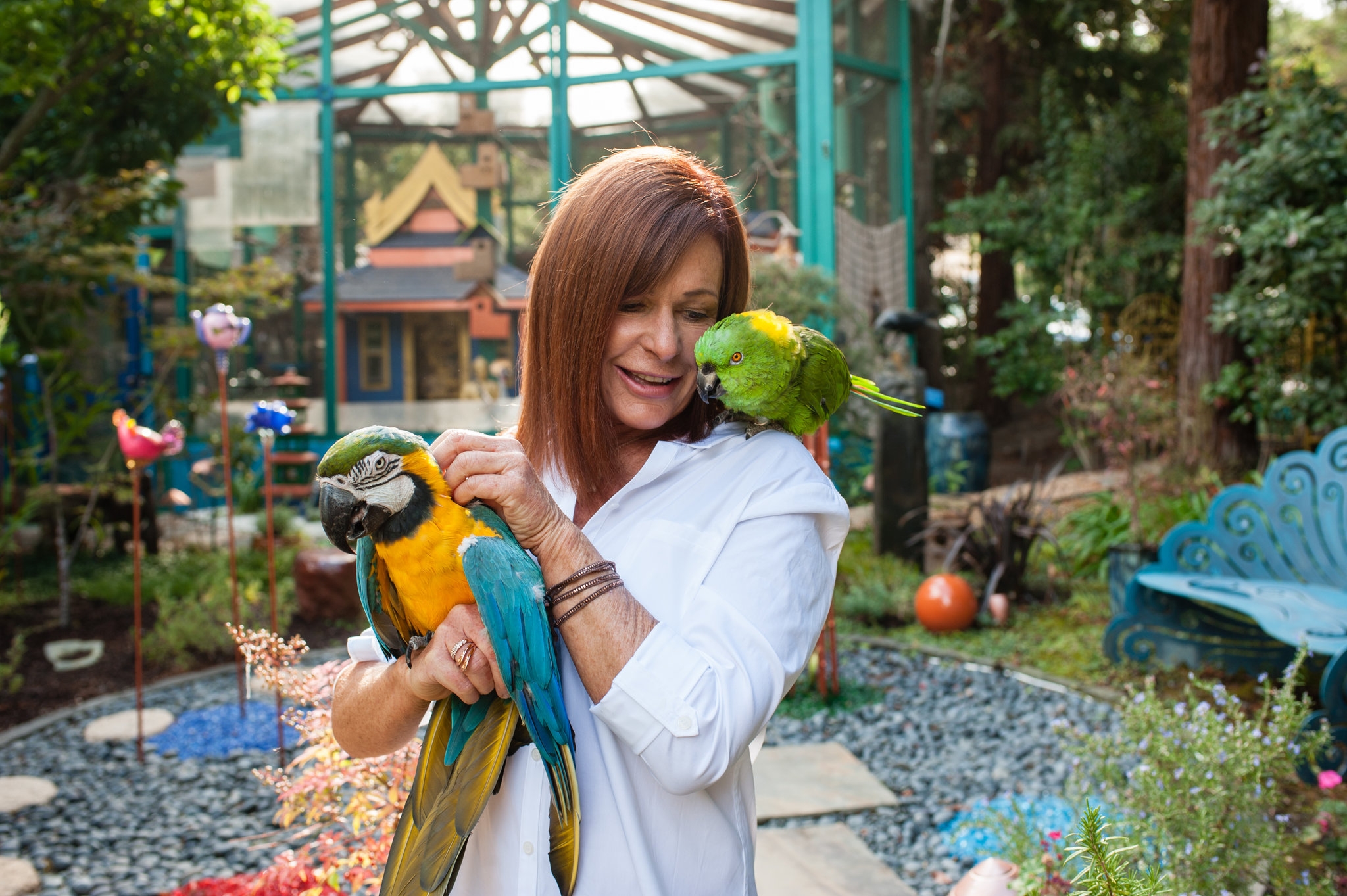 Birds In The New York Times Crosswords The New York Times