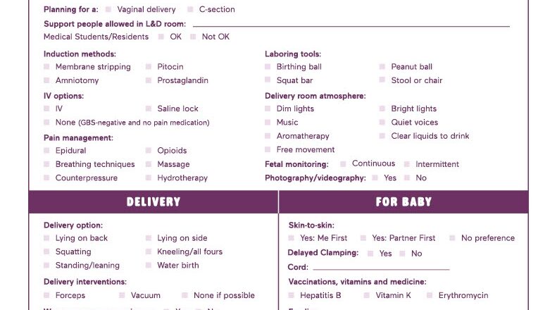 Birth Plan Template How To Write A Perfect Labor Delivery Plan