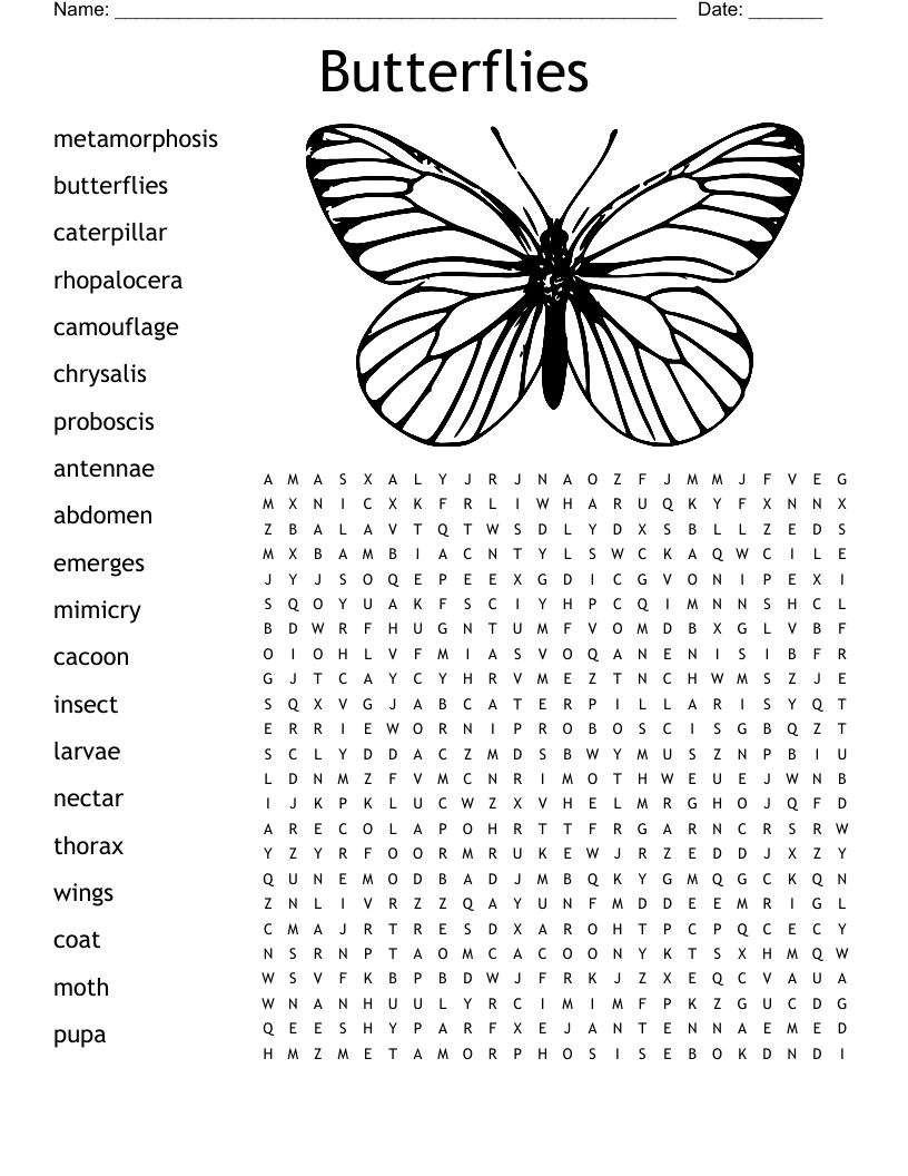 Butterfly Crossword WordMint Butterfly Crossword WordMint