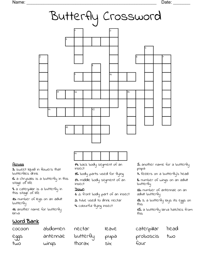 Butterfly Crossword WordMint Butterfly Crossword WordMint