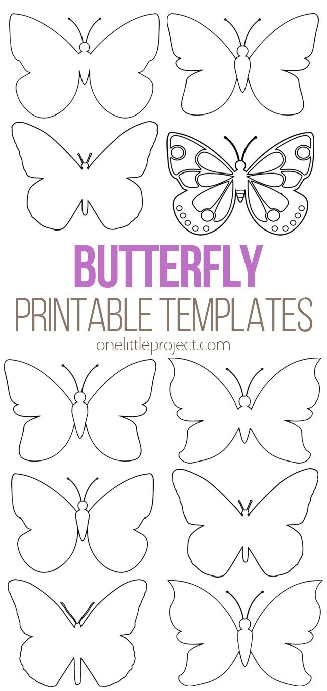butterfly printable template butterfly printable template