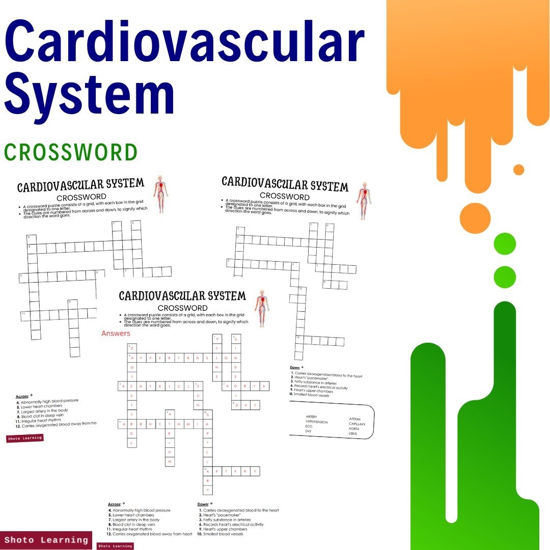 Cardiovascular System Word Scramble Fun Learning Worksheet