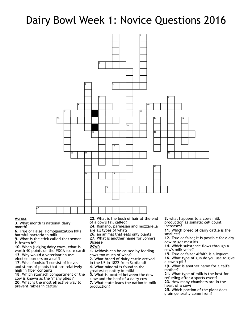 novice crossword clue