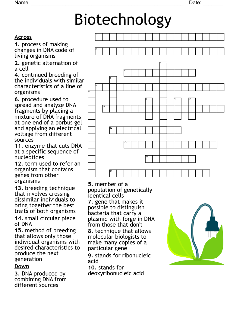 differential media crossword