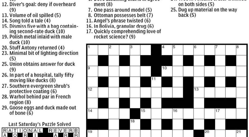 Diving Duck Crossword Clue 9 Letters
