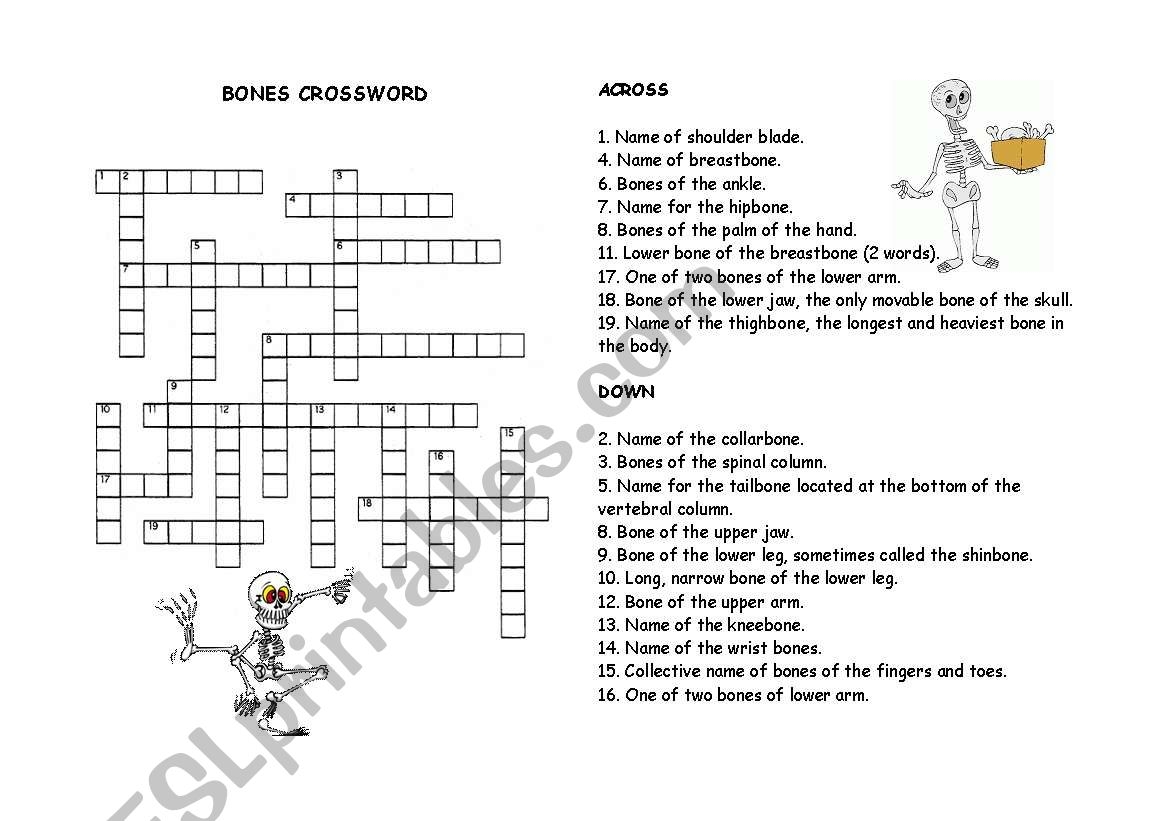 English Worksheets Bones Crossword