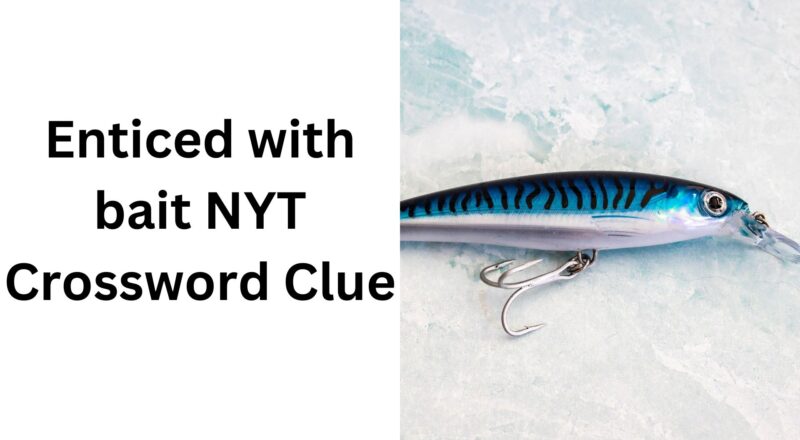 Enticed With Bait NYT Crossword Clue December 13 2024