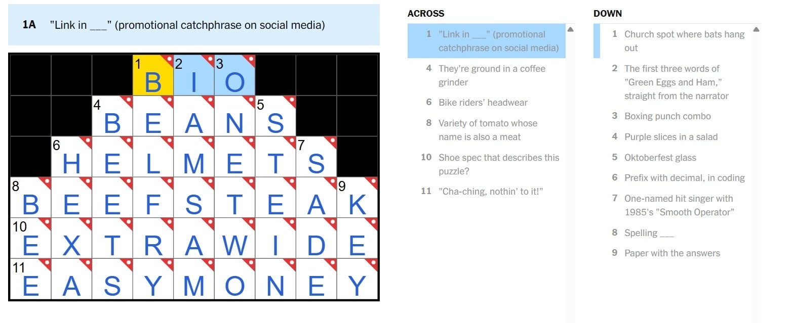 spots nyt crossword