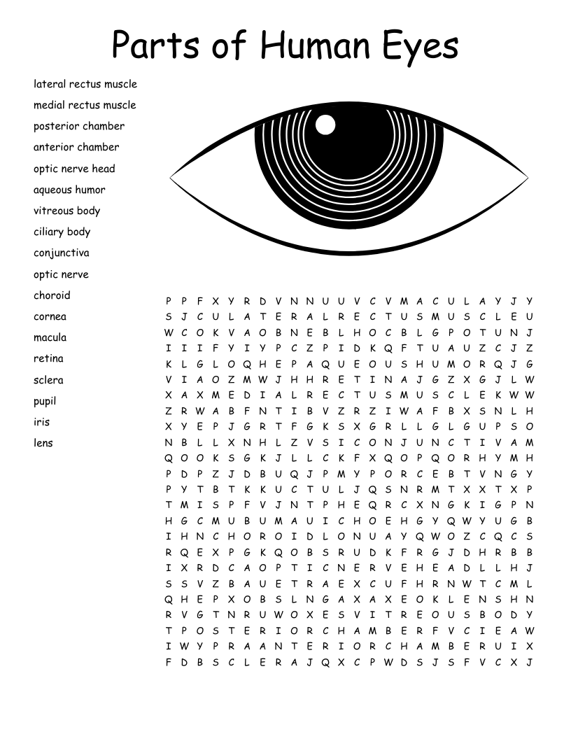 Eye Disease Crossword WordMint