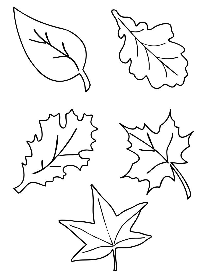 Fall Leaf Printables Printable Party Favors Fall Leaf Printables Printable Party Favors