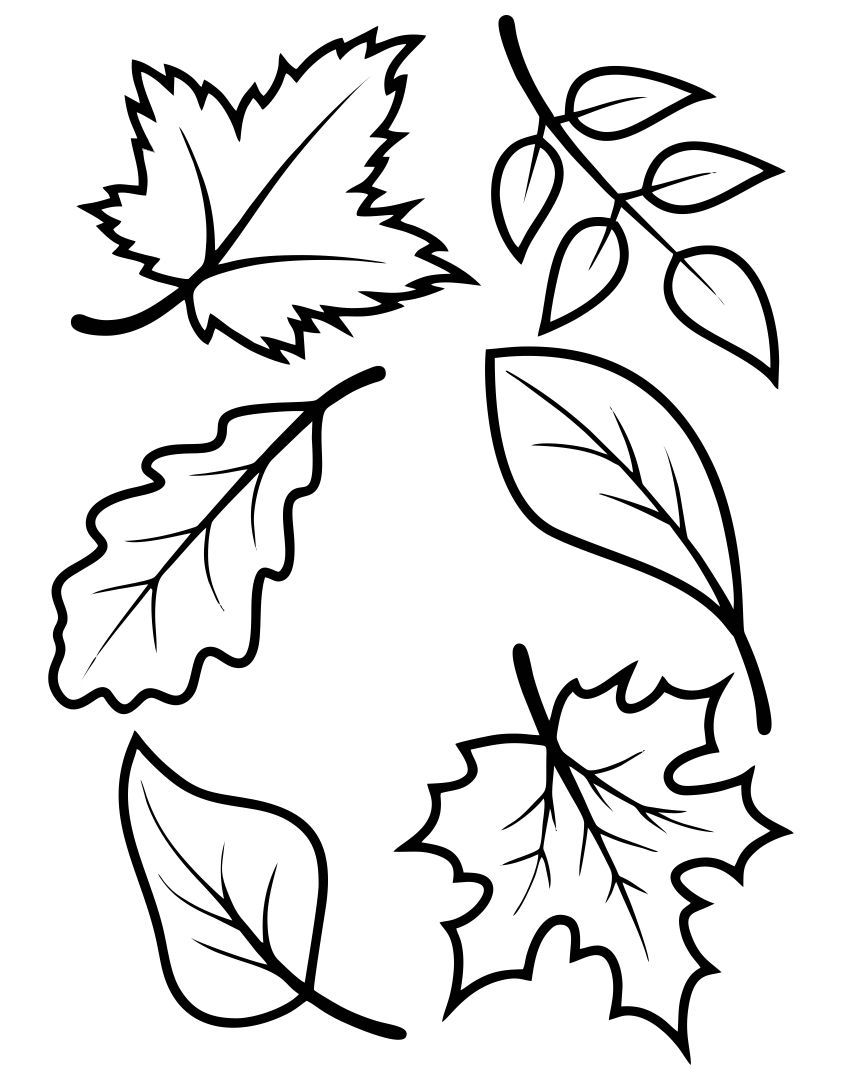 fall leaf template printable