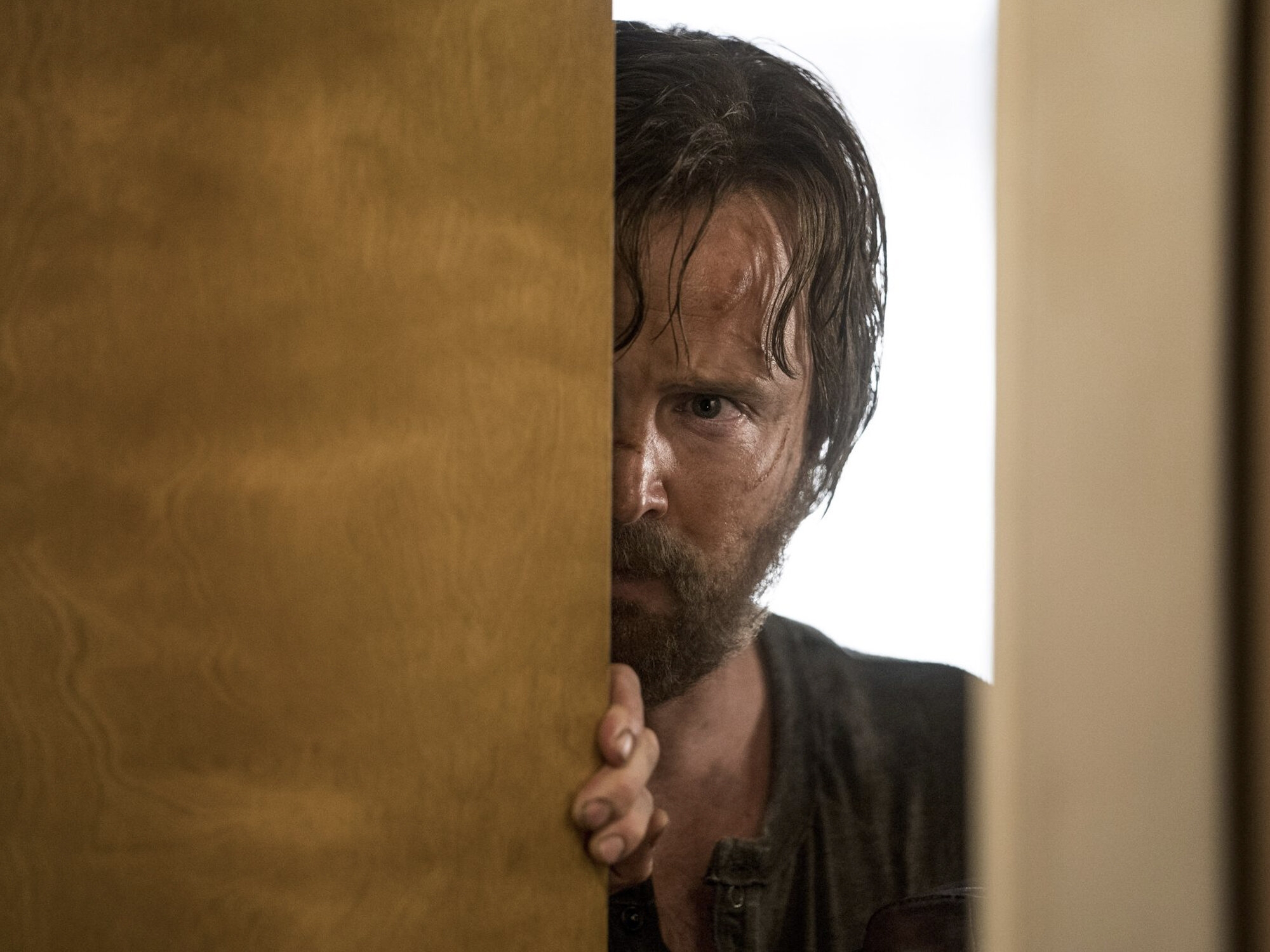 Film Review El Camino A Breaking Bad Movie Strange Harbors Film Review El Camino A Breaking Bad Movie Strange Harbors