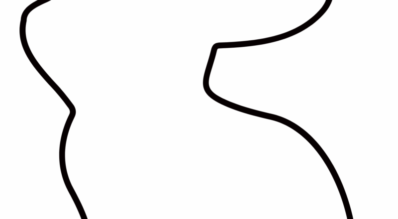 Free Bunny Outlines Printable Templates Crafty Morning