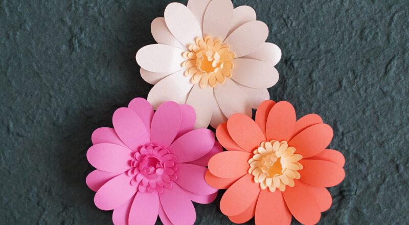 Free Daisy Flower Template