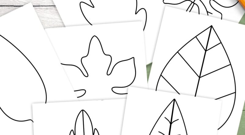 Free Leaf Templates Outlines Tons Of Printables