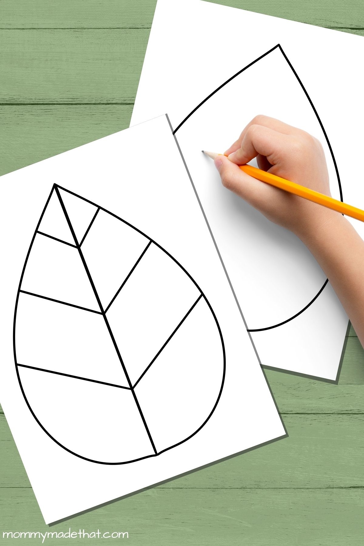 Free Leaf Templates Outlines Tons Of Printables 