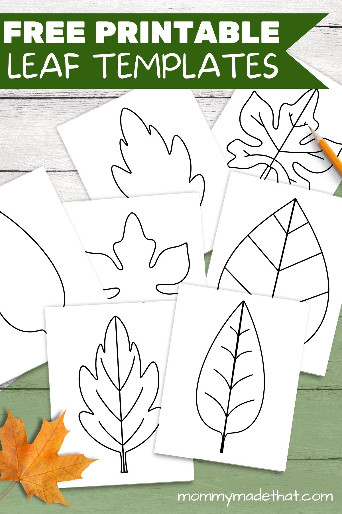 Free Leaf Templates Outlines Tons Of Printables Free Leaf Templates Outlines Tons Of Printables