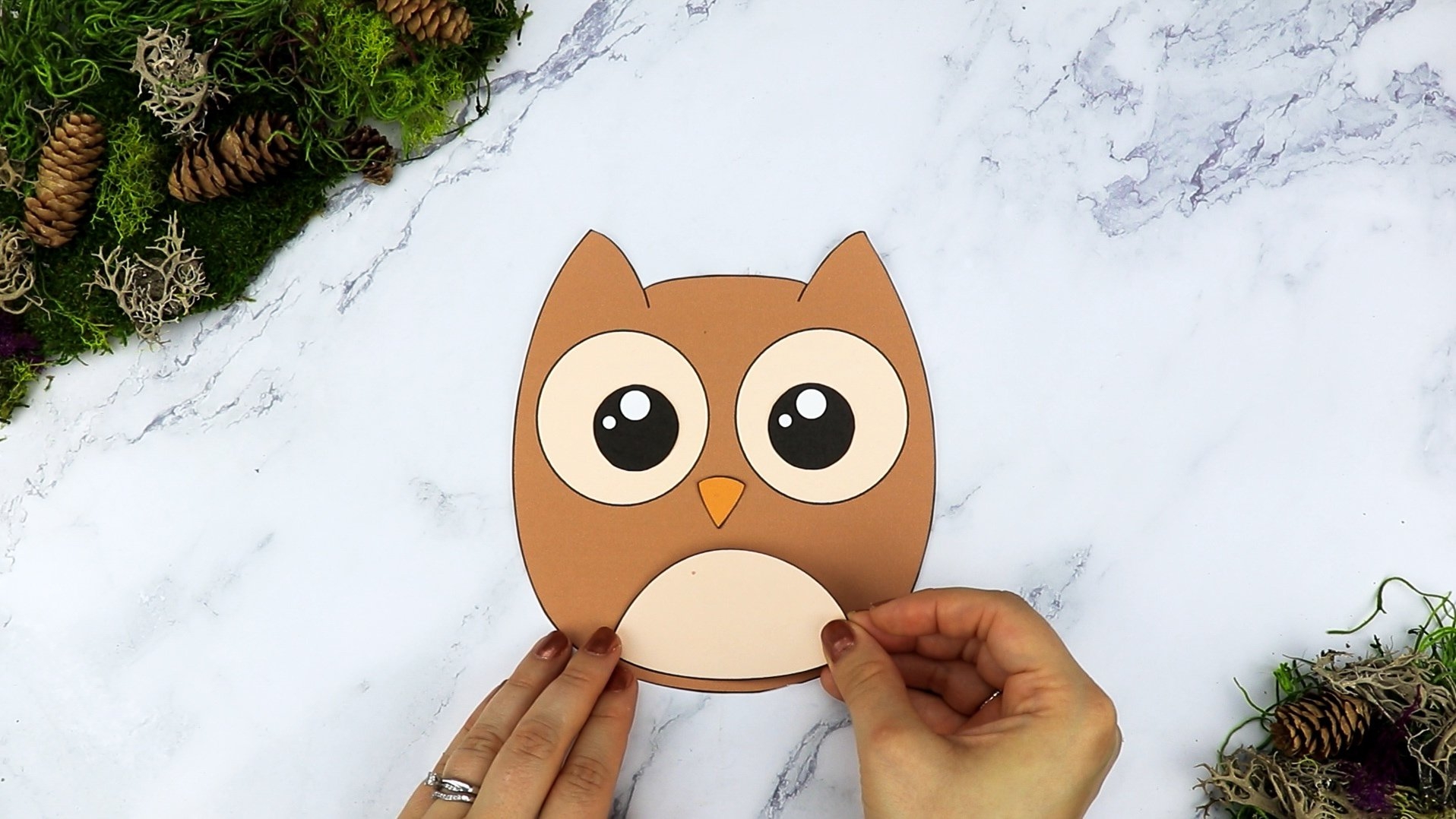 Free Printable Cut And Paste Owl Craft For Kids