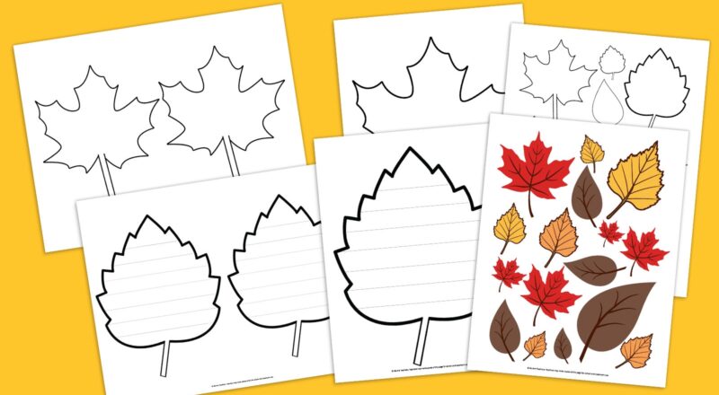 Free Printable Leaf Template Bundle For Fall