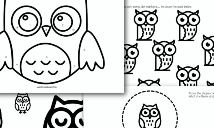 Free Printable Owl Template Active Littles