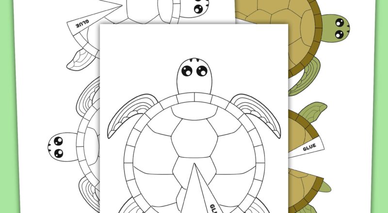 Free Printable Turtle Craft Template For Preschool Art Project