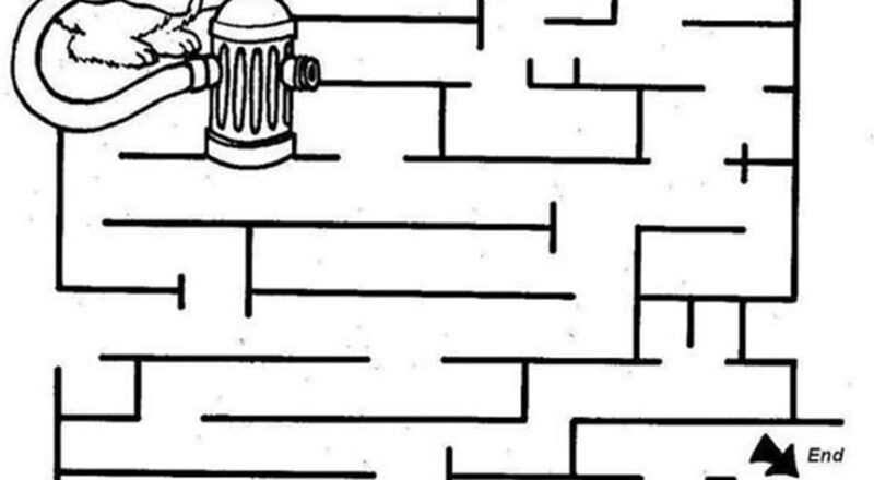 Free Simple Maze Printables For Preschoolers And Kindergartners Tulamama