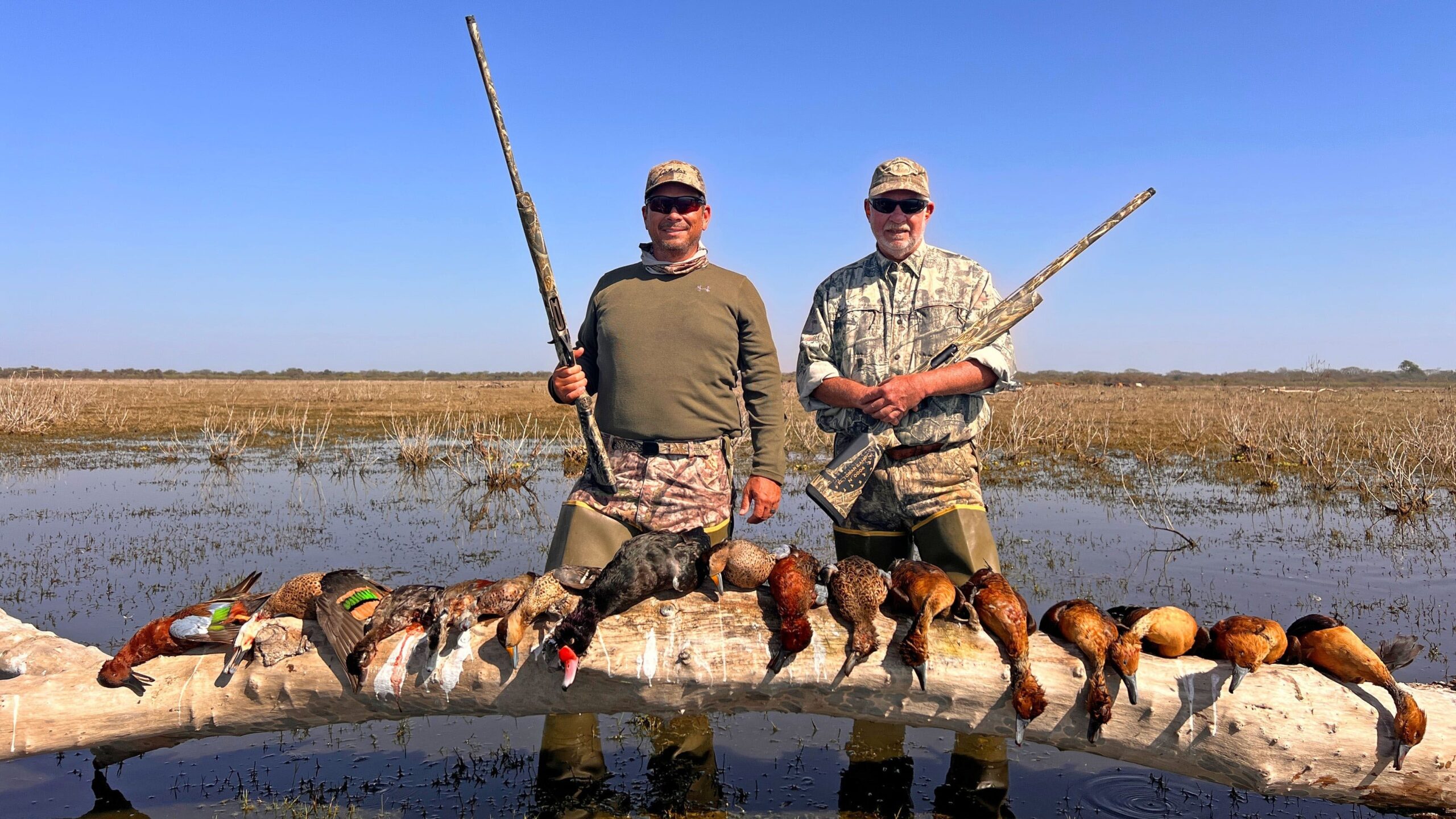 marsh bird crossword clue