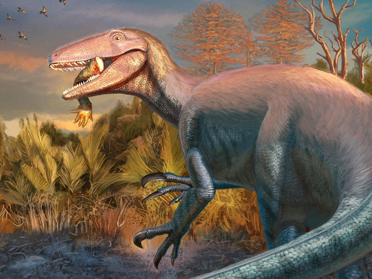 Gigantic Dinosaur With claws Like Hedge Trimmers Found With Croc Leg Still In Its Jaws In Argentina Live Science