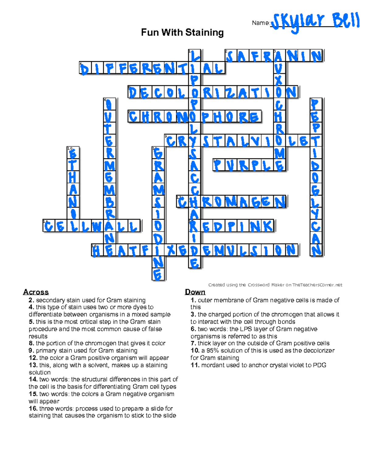 Gram Staining Crossword Puzzle Understanding Differential Stains Studocu