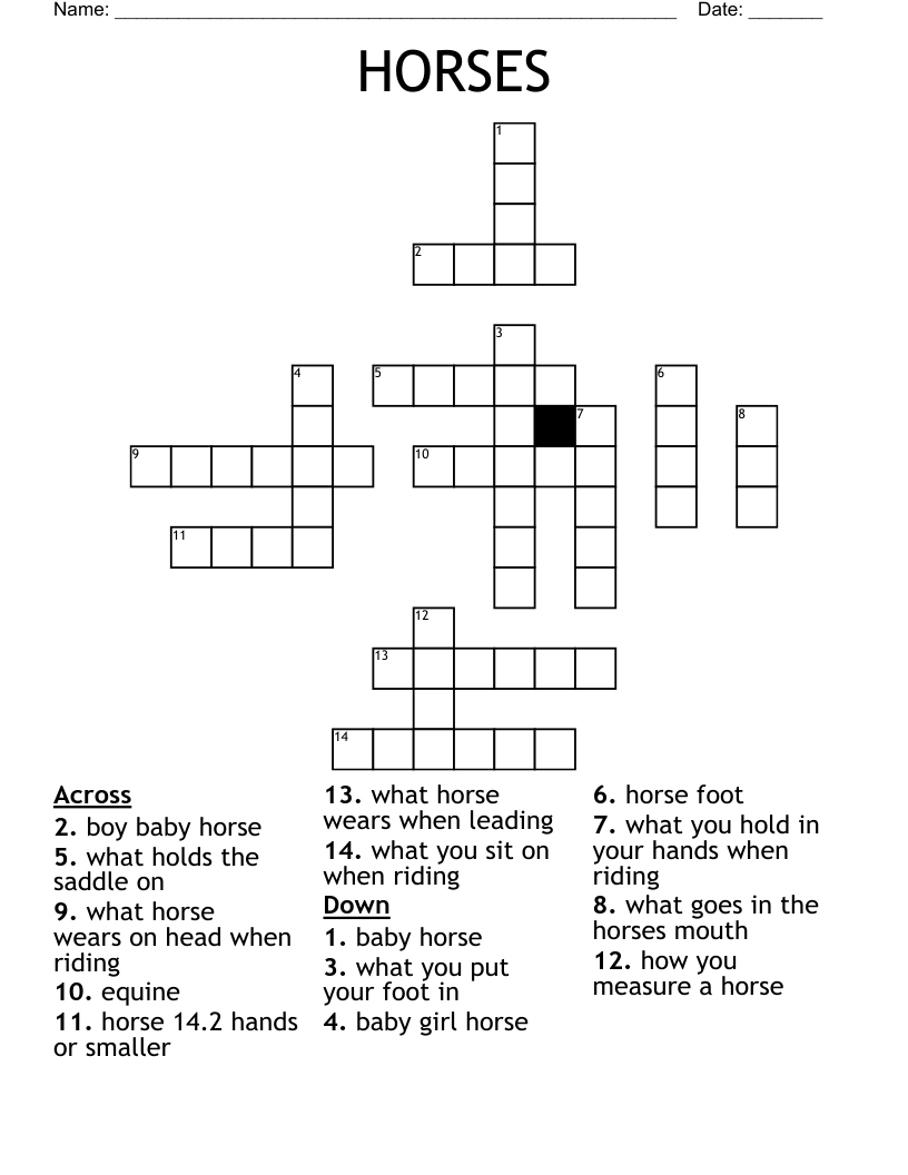 Horse Racing Enthusiast Crossword Clue Horse Racing Enthusiast Crossword Clue
