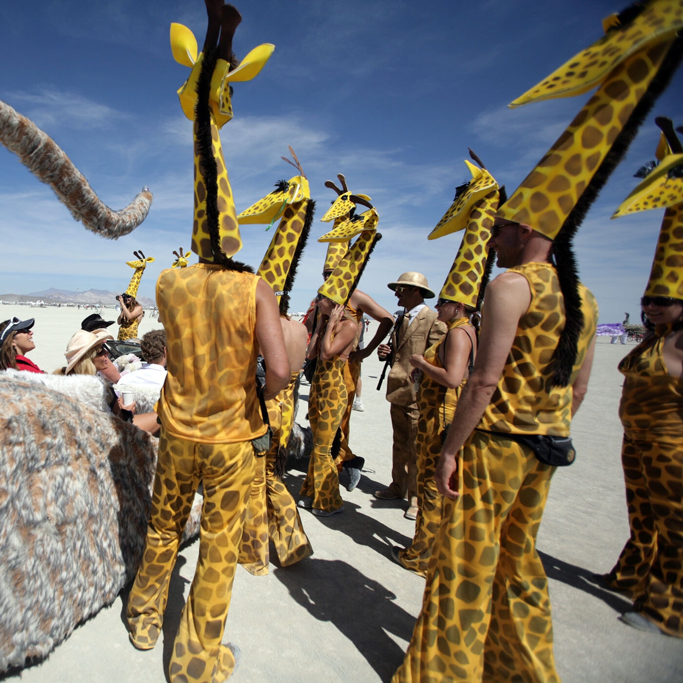 humdinger crossword clue