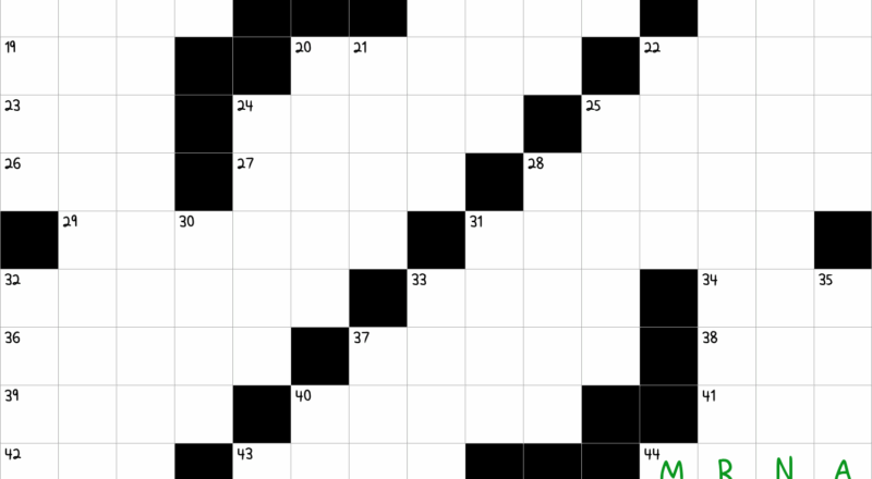 Kind Of Vaccine NYT Crossword Clue December 28 2024