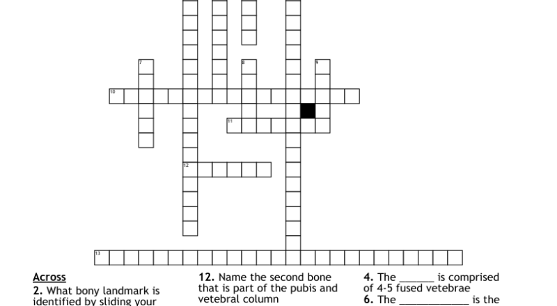 Landmarks Of The Pelvis Crossword WordMint