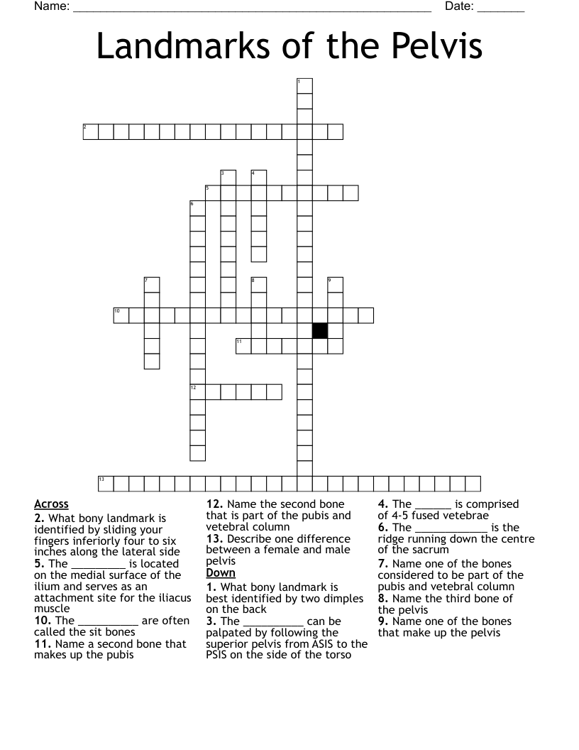 Landmarks Of The Pelvis Crossword WordMint