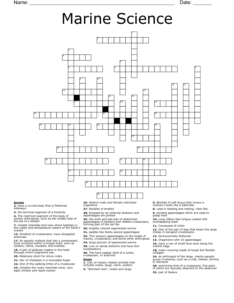 crossword clue for sea eagle