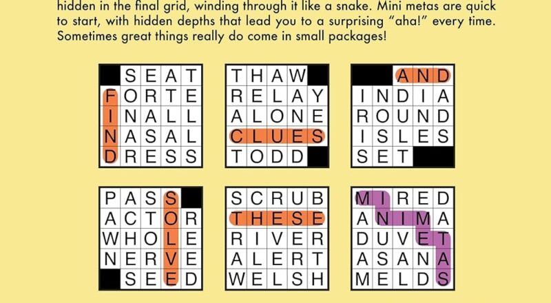 Mini Meta Crosswords As Seen In The Washington Post Muller Pete 9781454955443 Amazon Books