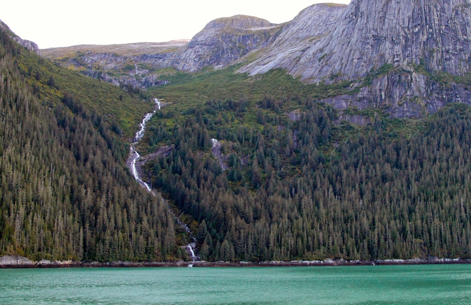 Narrow Coastal Inlet Crossword Clue