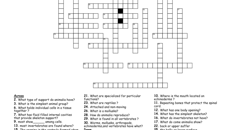 Nine Largest Phylum Crossword WordMint