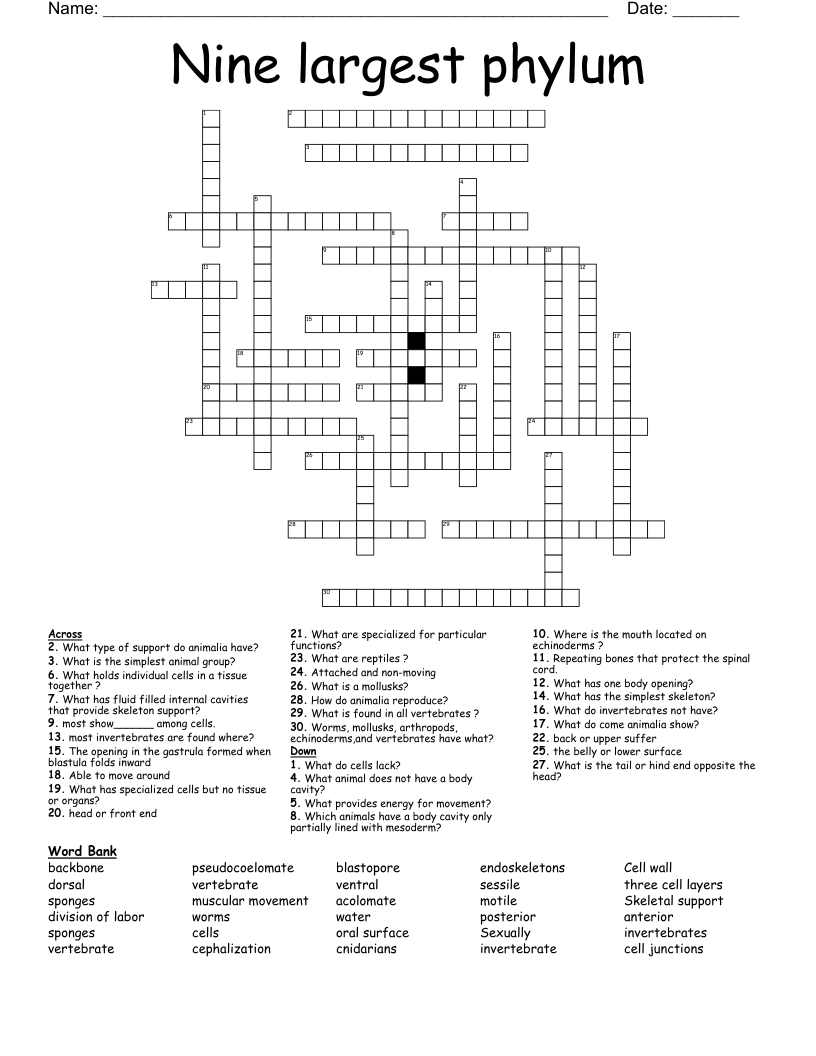Nine Largest Phylum Crossword WordMint