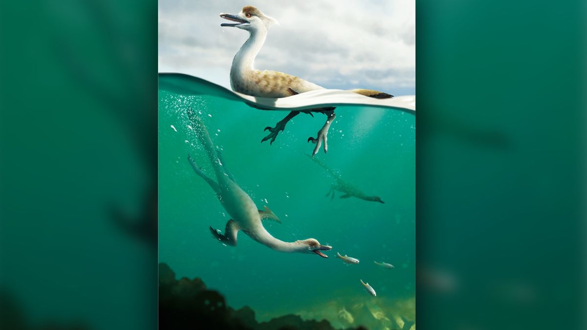 Noodle necked Swimming Dinosaur May Have Been A Diving Predator Like A Penguin Live Science