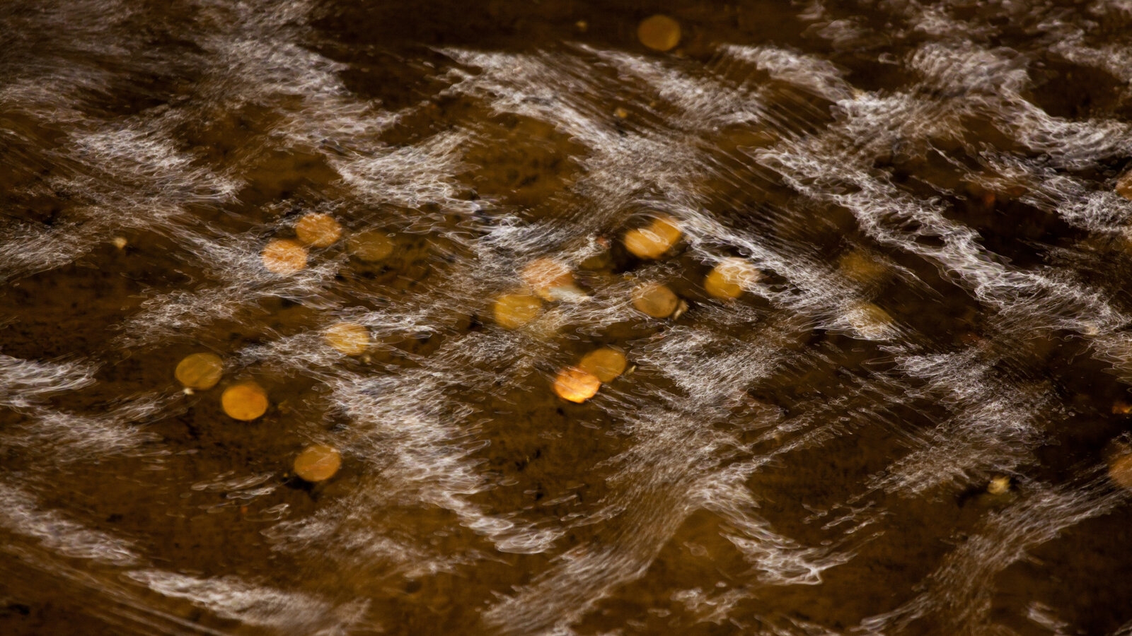 cooking by product liquid gold crossword