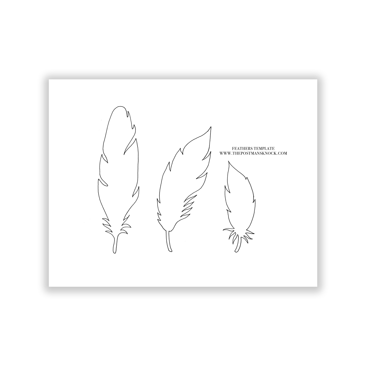 Paper Feathers Template The Postman s Knock